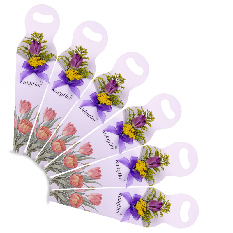 Tulipan y solidago Pack x 6 Conos