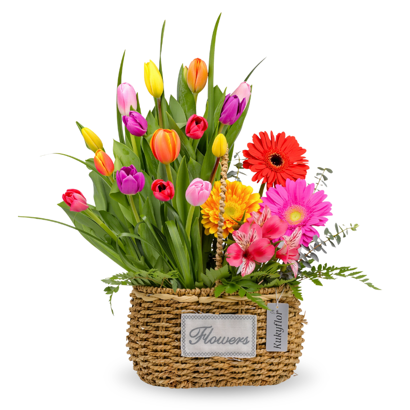 Canasta de 15 Tulipanes multicolor con 3 Gerberas