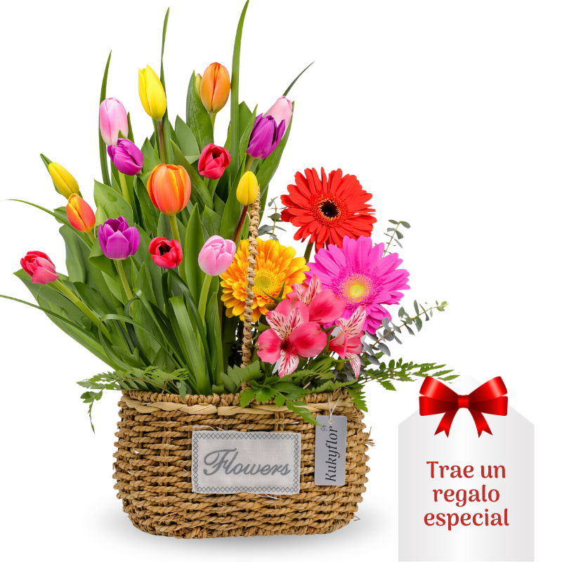 Basket of 15 multicolored tulips with 3 gerberas