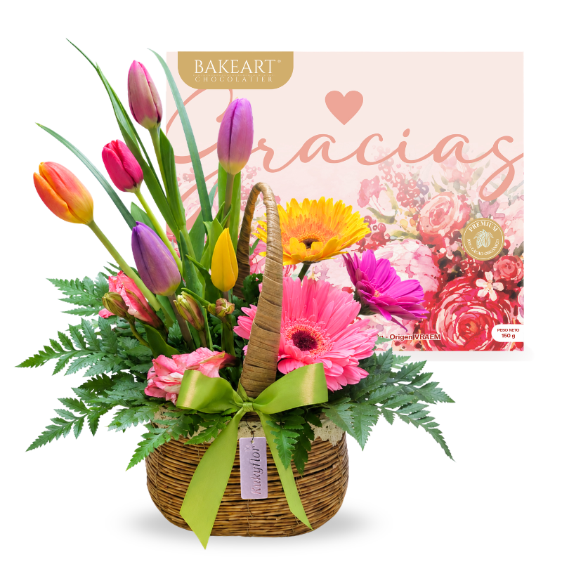 Canasta de 6 Tulipanes multicolor con 3 Gerberas