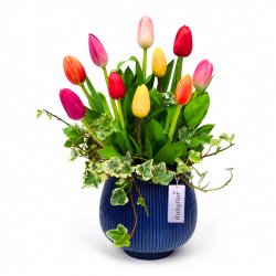 10 Tulipanes mixtos en florero azul