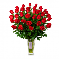 36 Rosas Rojas en Florero de Vidrio
