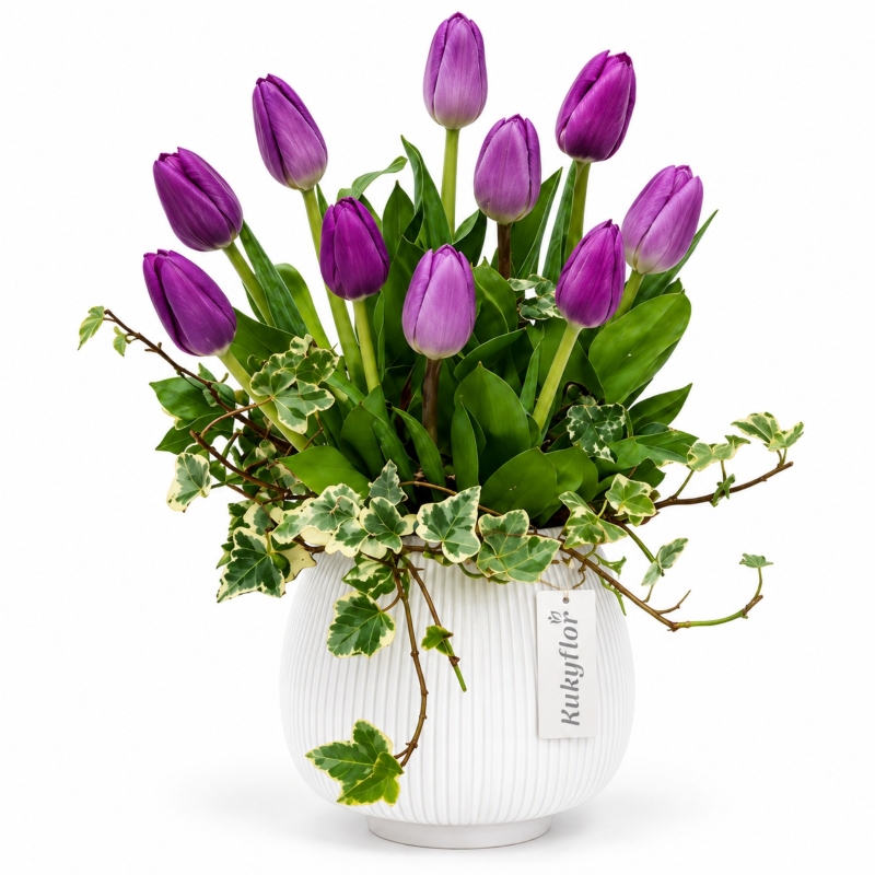 Arreglo de 10 Tulipanes Morados