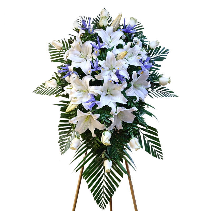 Lágrima Fúnebre de Rosas, Lirios e Iris D