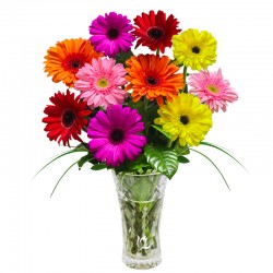 Florero de Vidrio con 10 Gerberas