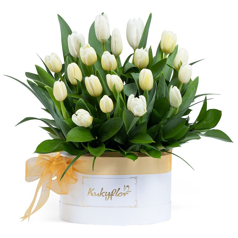 Box con 20 Tulipanes Blancos