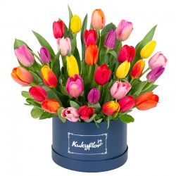 Box Bajo con 30 Tulipanes Variados