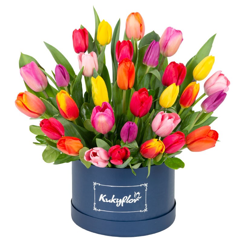Box Bajo con 30 Tulipanes Variados Box Bajo con 30 Tulipanes Variados
