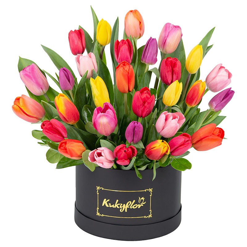 Box Bajo con 30 Tulipanes Variados
