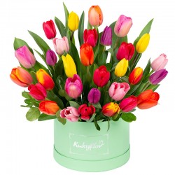 Box Bajo con 30 Tulipanes Variados
