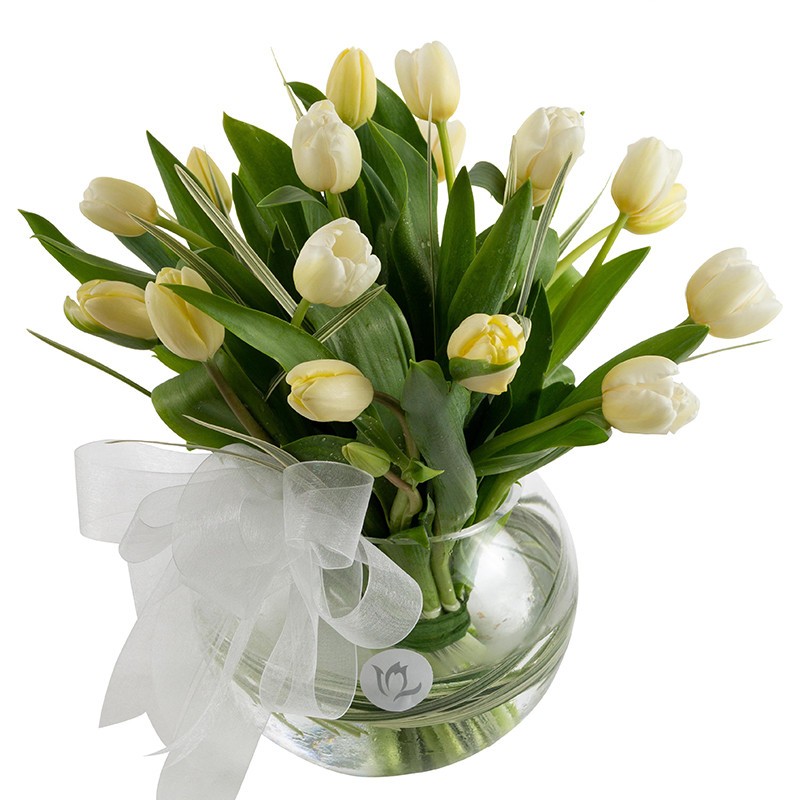 Pecera de 20 tulipanes blancos