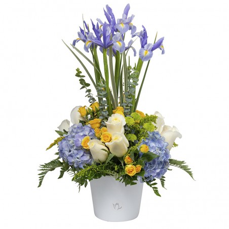 Arrangement with roses, irises, mini roses and hydrangeas.
