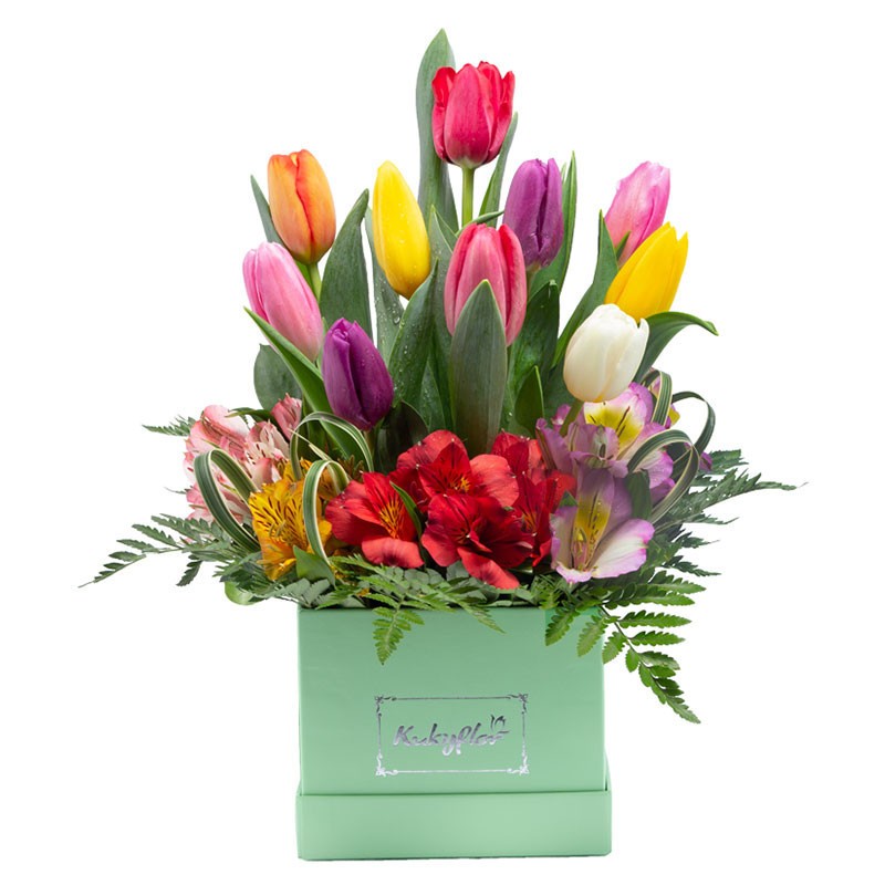 Box Verde con 10 Tulipanes Variados y Alstroemeria