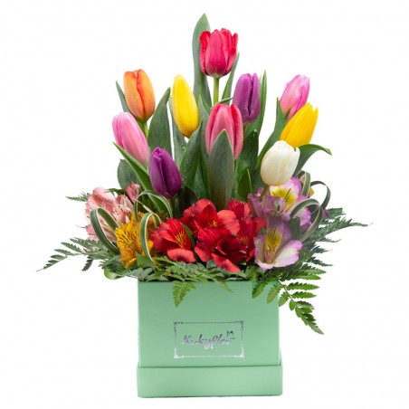 Green Box with 10 Assorted Tulips and Alstroemeria