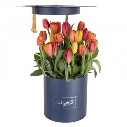 Box de graduación con 20 tulipanes variados