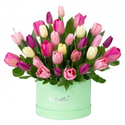 Box Bajo con 30 Tulipanes Variados