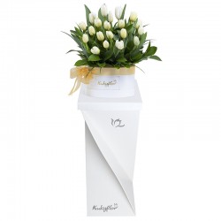 Box con 20 Tulipanes Blancos