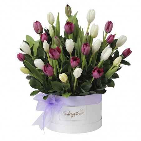 Box de 30 tulipanes blancos y morados