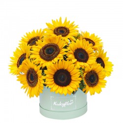 Low Box with 10 Sunflowers
