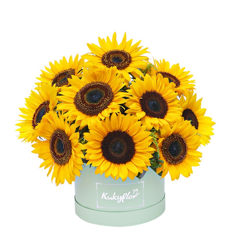Sunflower box top