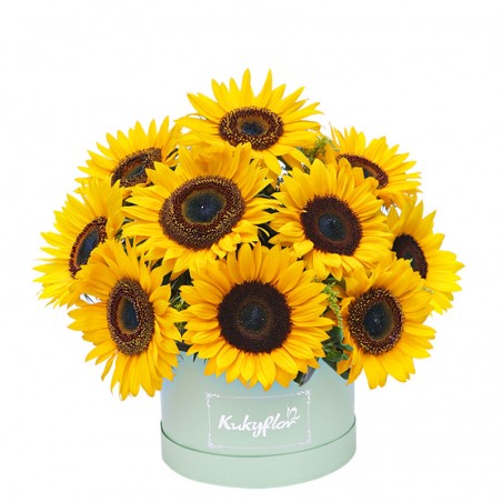 10 Box Top Sunflowers