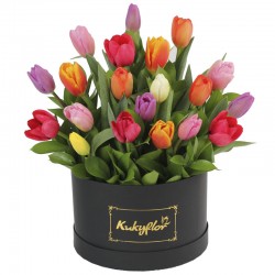 box bajo con 20 tulipanes variados