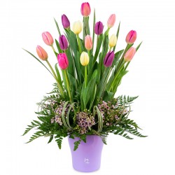 Arrangement of 15 pastel tulips