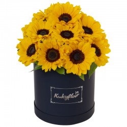Box 20 Sunflowers