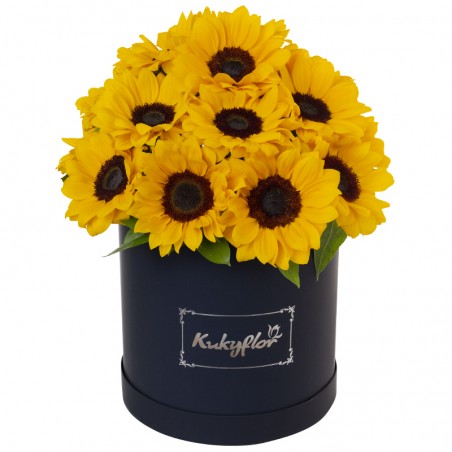20 Box Top Sunflowers