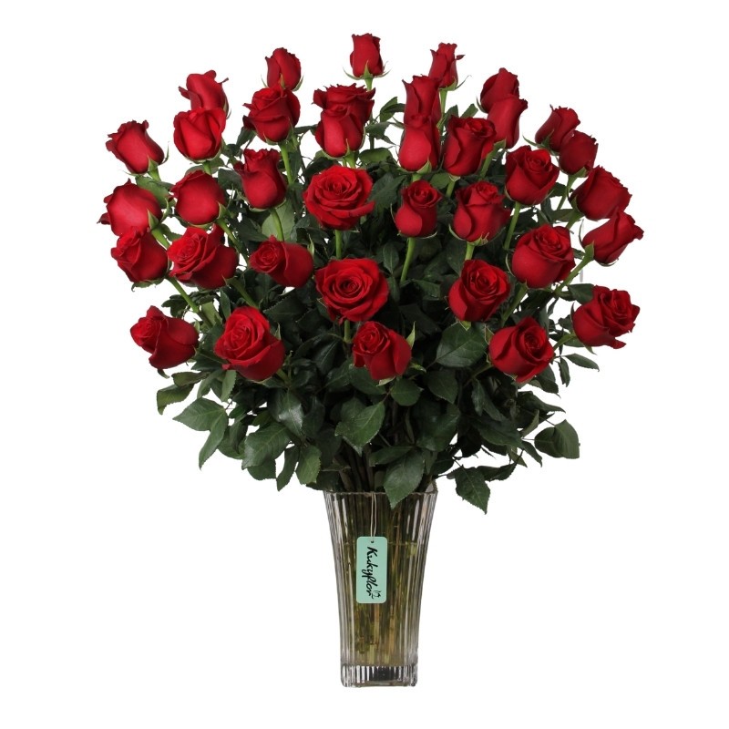 Arrangement of 36 Roses in Vase