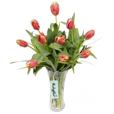 Vase of 10 tulips Dee Jay Parrot