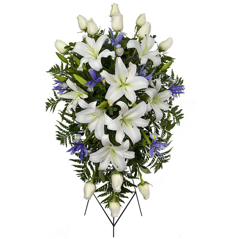 White tear of 12 white roses, blue iris and white lilies D