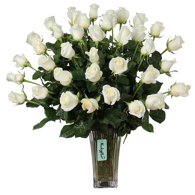 Vase of 36 white roses