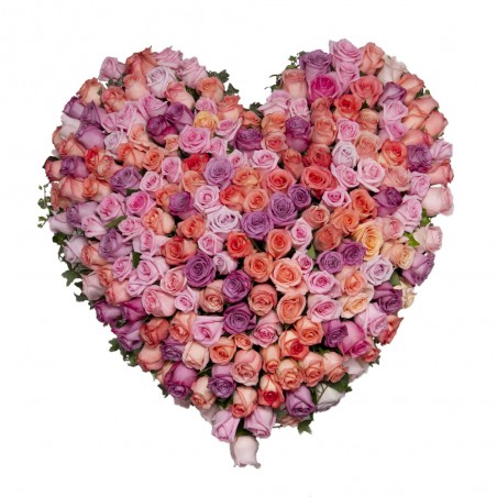 Heart of 100 roses