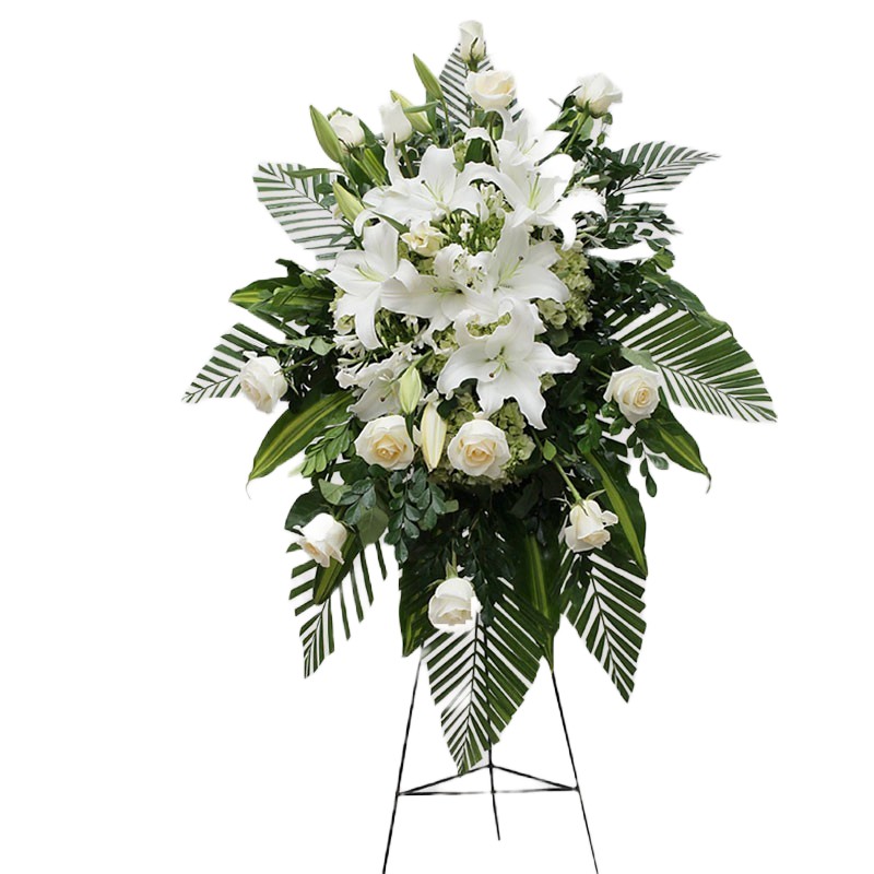 Teardrop of 12 roses and white lilies