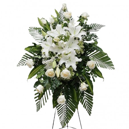 Teardrop of 12 white roses and white lilies
