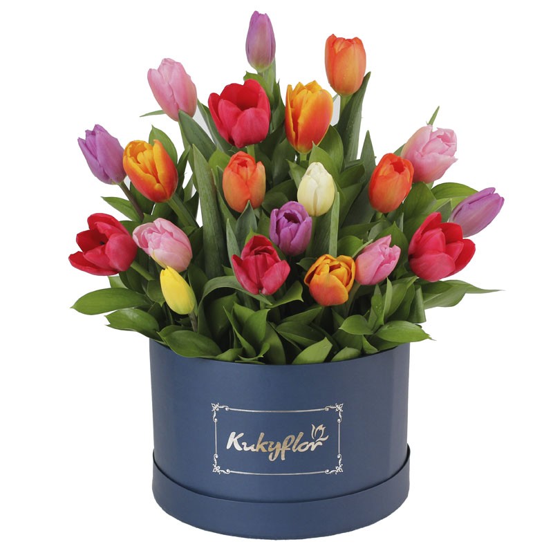 20 Multicolored Box Top Tulips