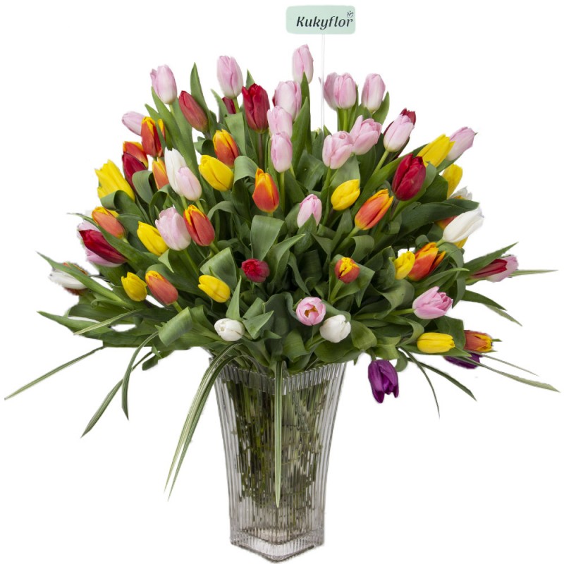 Arrangement of 100 tulips in a vase