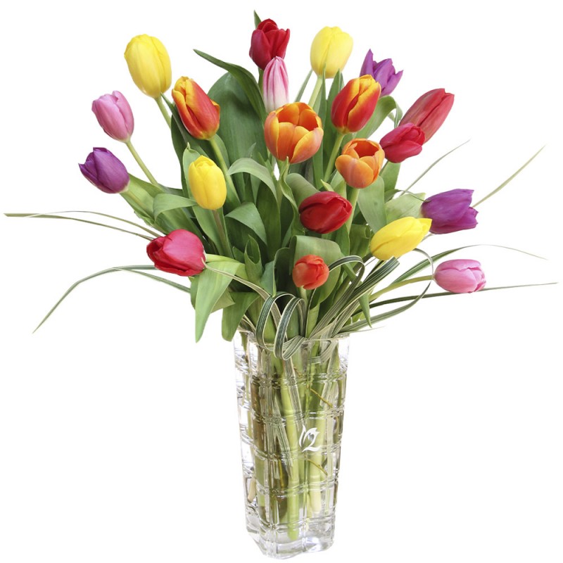 Arrangement of 20 tulips in a vase