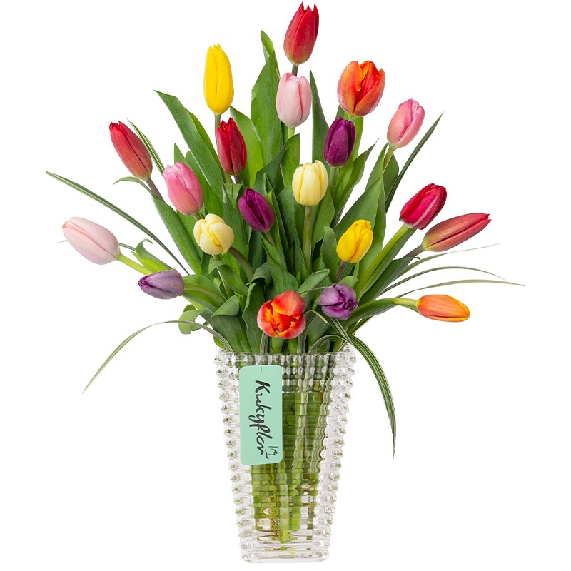 Florero de 20 Tulipanes