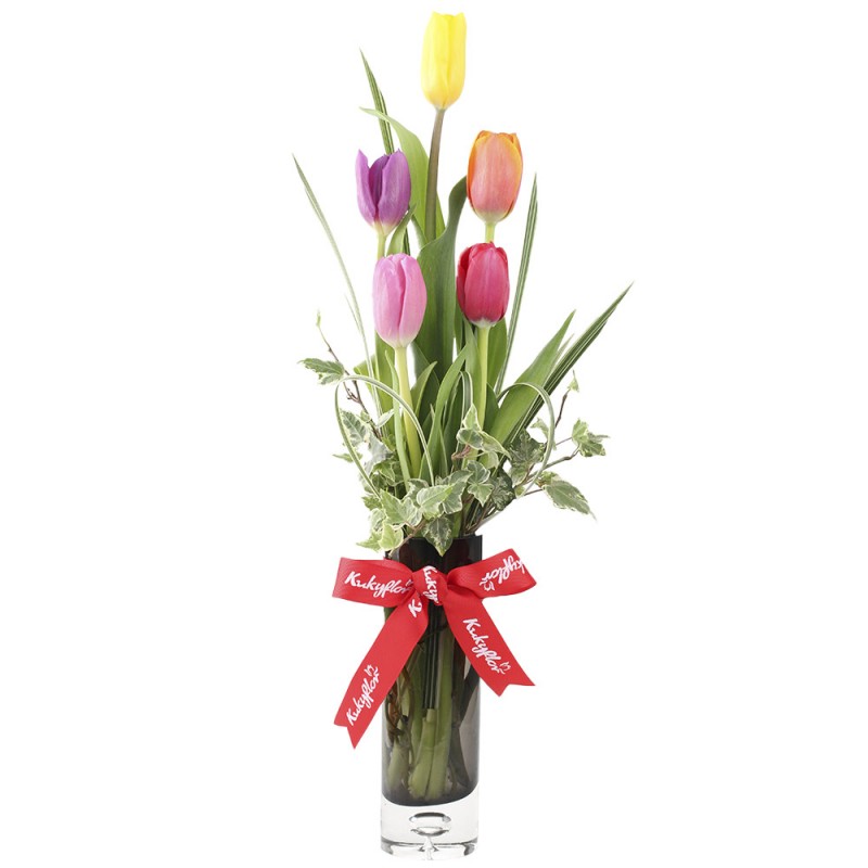 5 tulipanes multicolor en florero