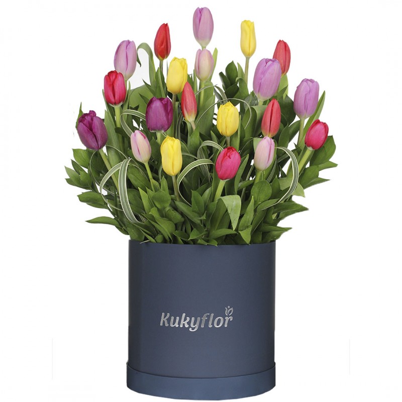 20 Multicolored Box Top Tulips