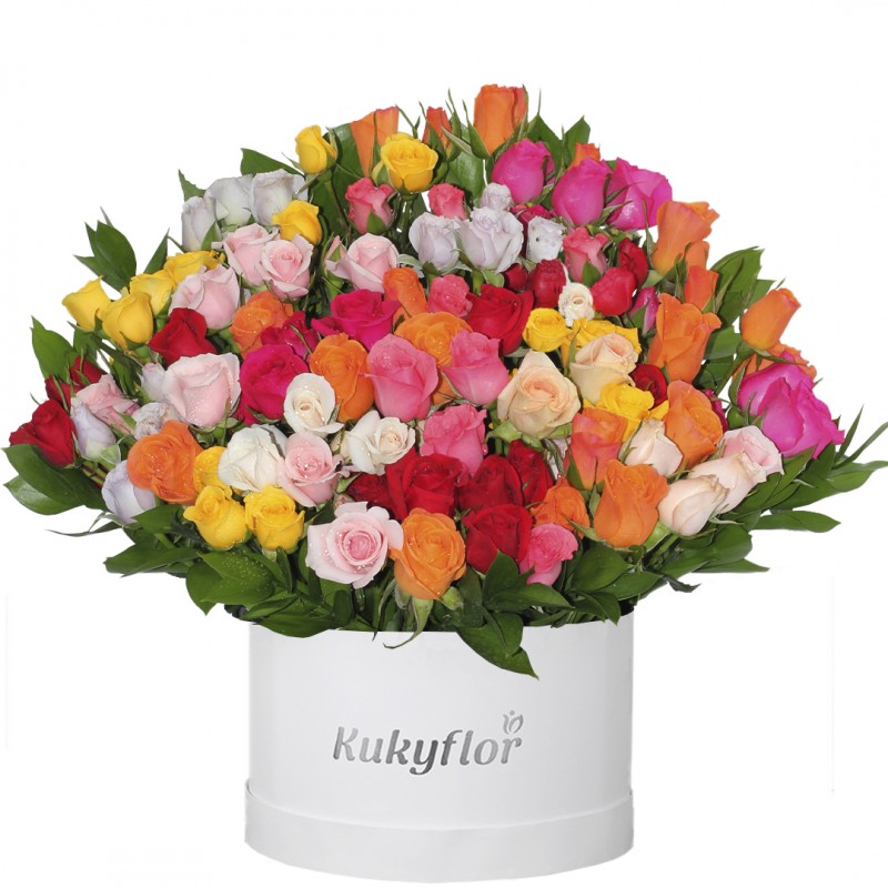 Low box with mini roses