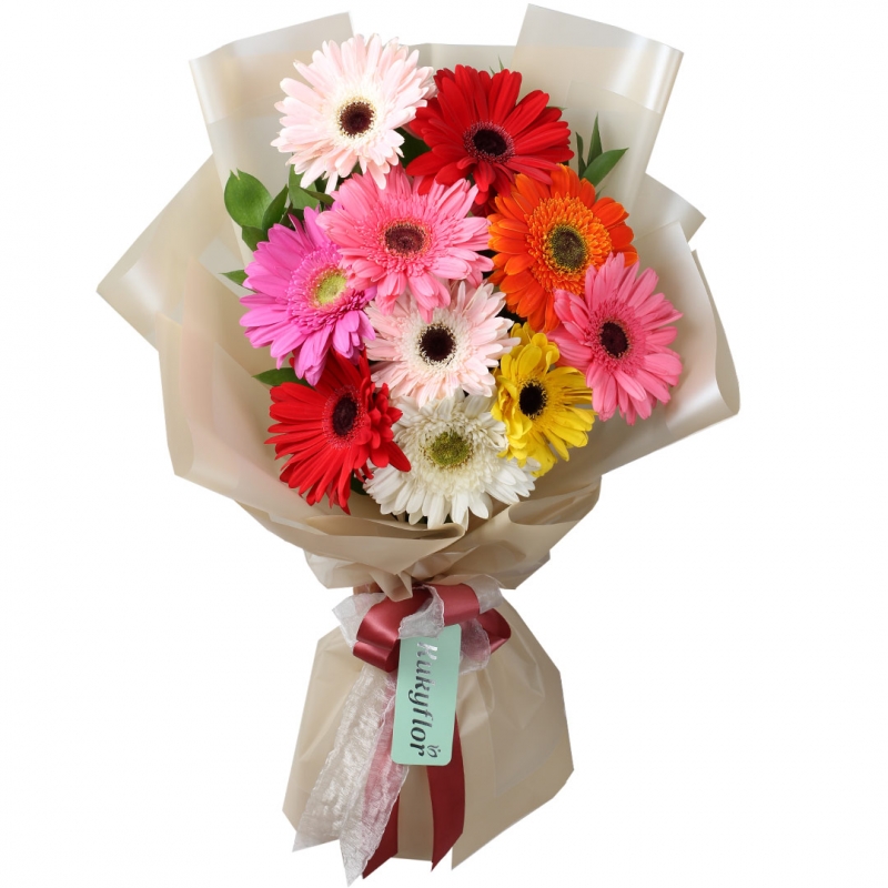 Bouquet of 10 multicolored gerberas