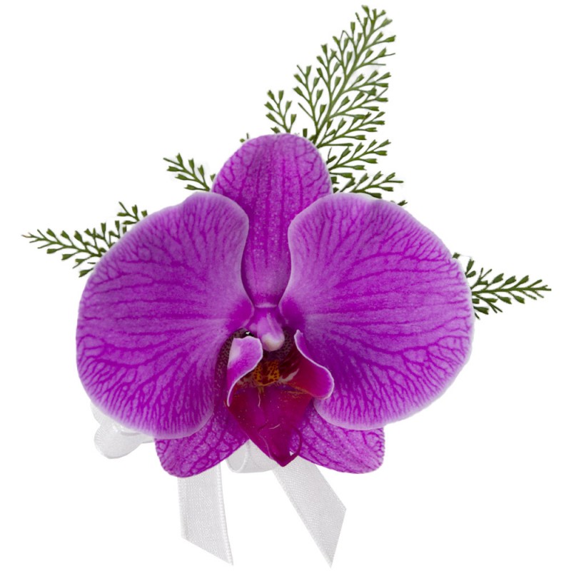 Botonier de Orquídea
