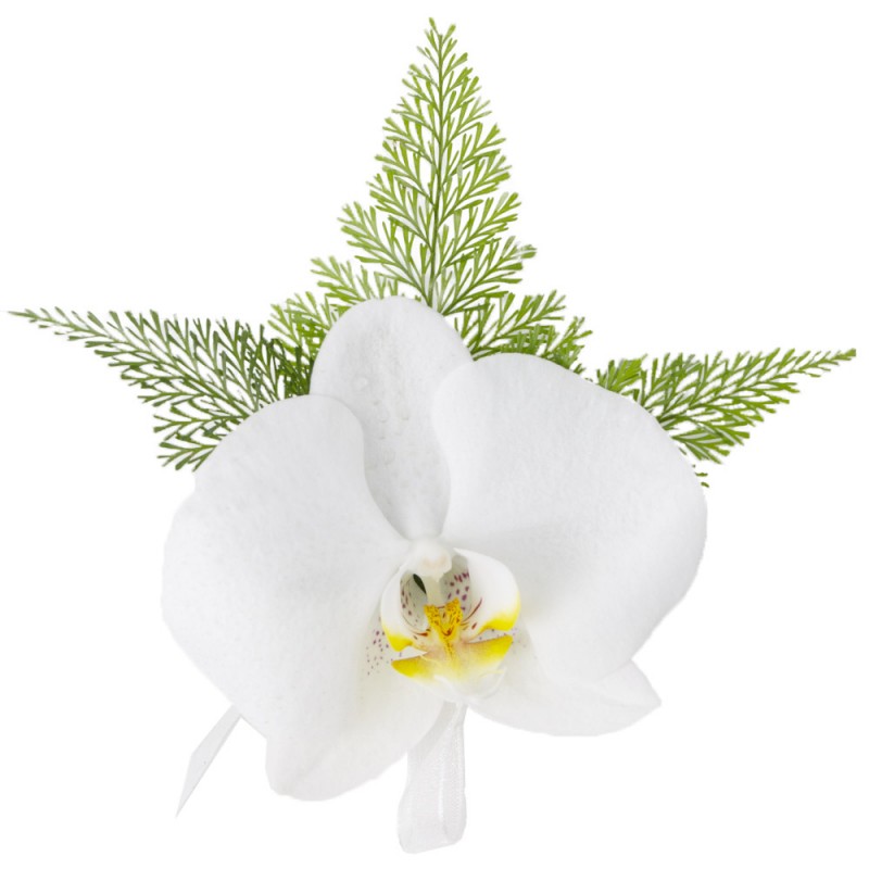 Botonier de Orquídea