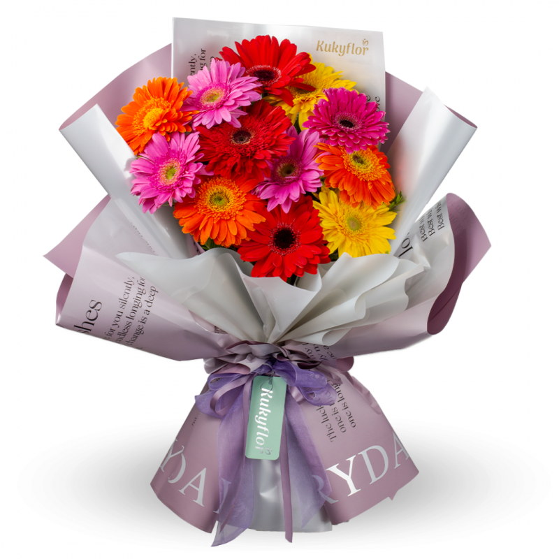 Bouquet of 12 Premium Multicolored Gerberas