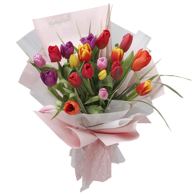 Bouquet of 20 Tulips