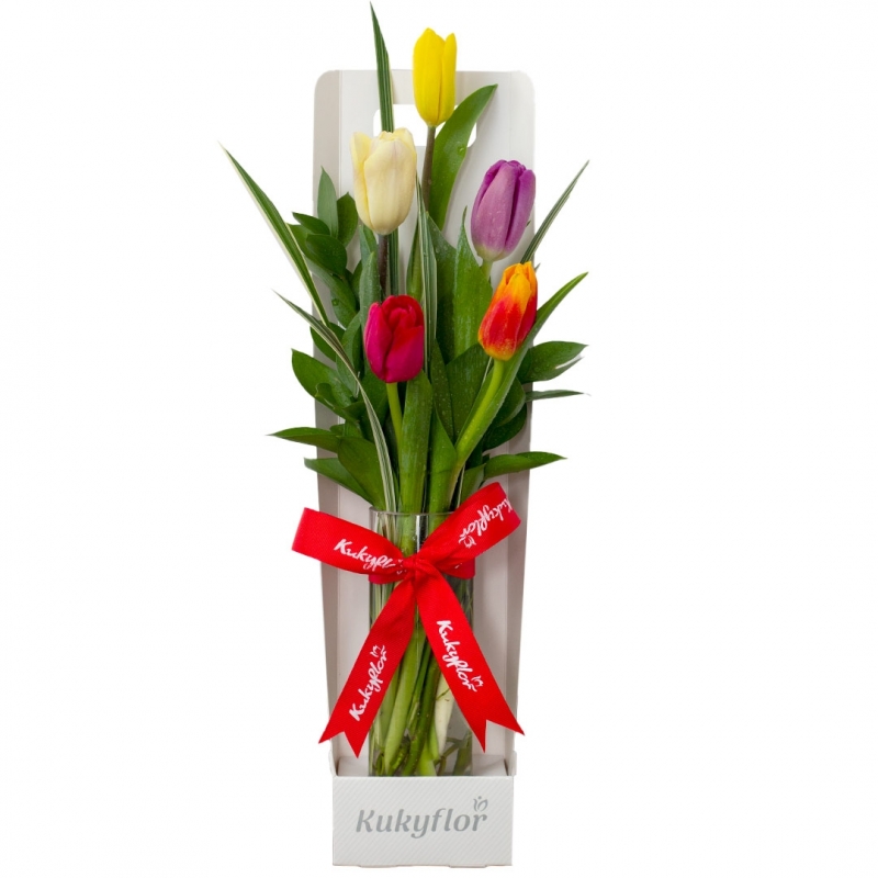 5 multicolored tulips in a vase