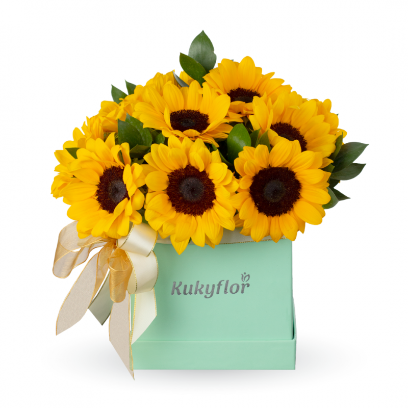 Box de 12 girasoles